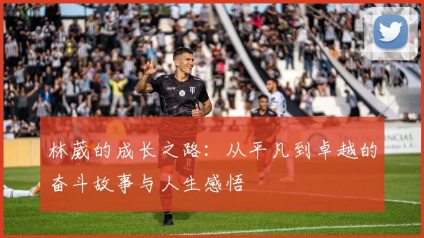 林葳的成长之路：从平凡到卓越的奋斗故事与人生感悟