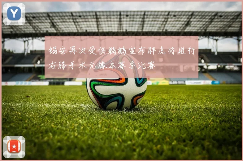 锡安再次受伤鹈鹕宣布胖虎将进行右膝手术无缘本赛季比赛